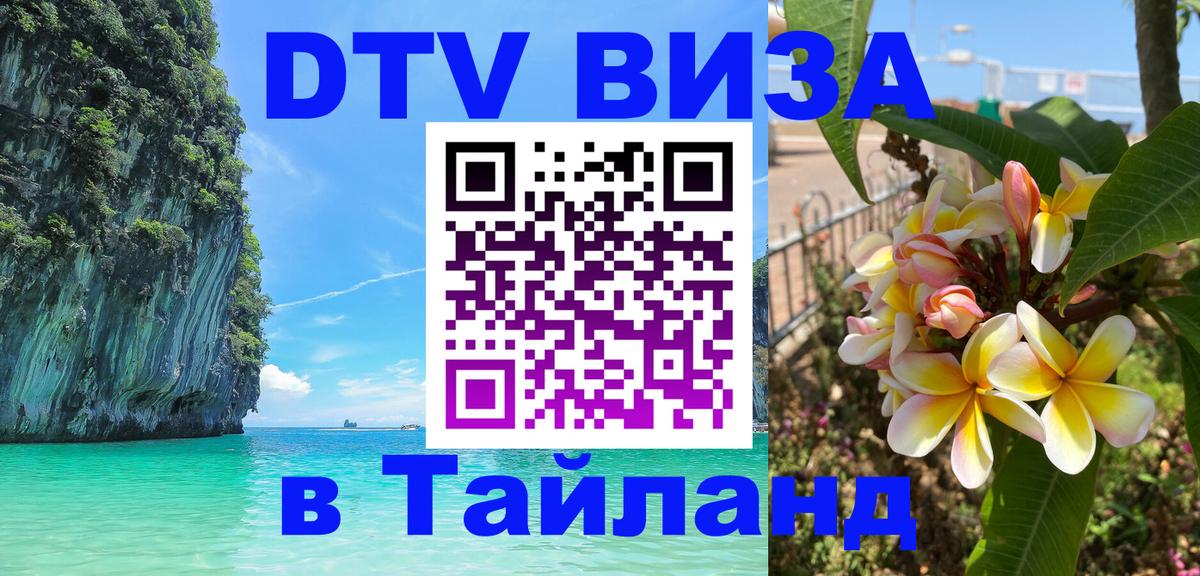 Сколько стоит DTV виза — актуальные цены, оформление даже без документов - Тверь 